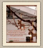 PC180453aa mit Spruch.webp