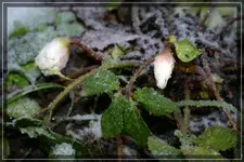 comp_DSC02035.webp