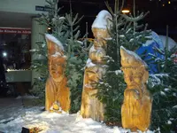 IMGP3360.webp