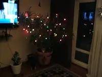 DSCF4726.webp