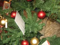IMG_3545.webp