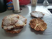 1. Weihnachtstag 2010 002.webp