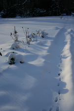 IMG_2679 - Kopie.webp