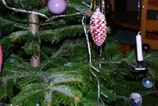 DSC_0032.webp