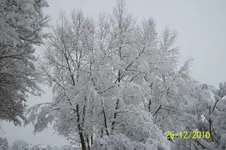 100_2528.webp