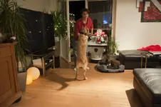 Bescherung - xMas 2010 25.webp