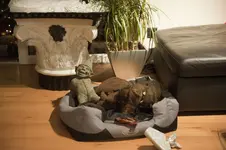 Bescherung - xMas 2010 75.webp