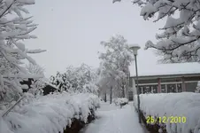 100_2517.webp
