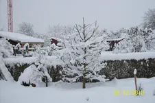 100_2524.webp