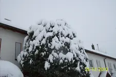 100_2531.webp