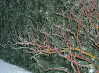 DSCN2134.webp