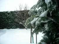 DSCN2130.webp