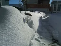 DSCF4731.webp