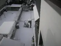 Winter am 26.12.10 001.webp