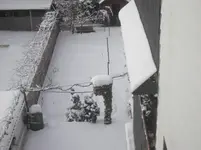 Winter am 26.12.10 002.webp
