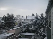 Winter am 26.12.10.webp