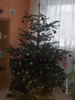 HPIM5798.webp