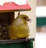 PC263551 es schmeckt.webp