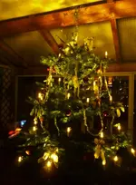 PX-mas_Baum.webp