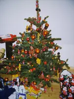 N 146.webp