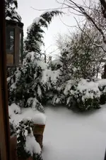 26.12 (2).webp