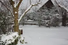 26.12 (3).webp