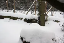 26.12 (10).webp