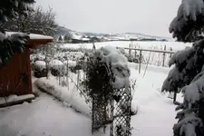 26.12 (11).webp