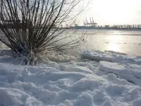 P1060920.webp
