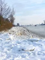 P1060922.webp