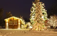 DSC00164(1).webp