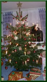 Bild 1.webp