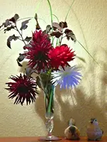 Dahlien in Vase Halo.webp