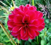 Dezember 2010 272v.webp