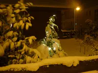P1160799.webp