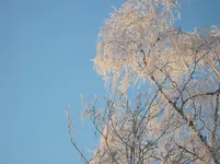 IMG_2800.webp