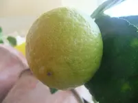 DSCF2202.webp
