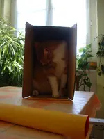 DSCF0014.webp