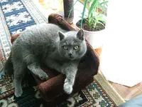 DSCF4737.webp