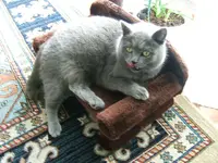 DSCF4738.webp