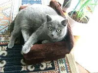 DSCF4739.webp