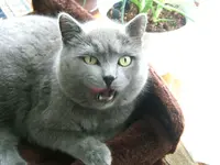 DSCF4740.webp