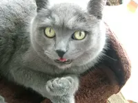 DSCF4745.webp