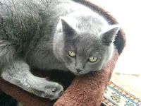 DSCF4746.webp