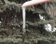 1 Eiszapfen.webp