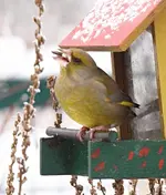 PC294643 2010-12-29.webp