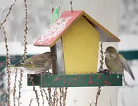 PC294610 2010-12-29 Finkinnen.webp
