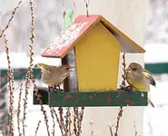 PC294592 Hier schmeckts viel besser.webp