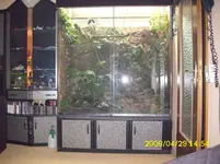 DSCI0063.webp