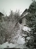 Garten1.webp